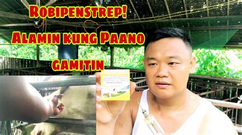 robipenstrep|Paano gagamitin ang robipenstrep .